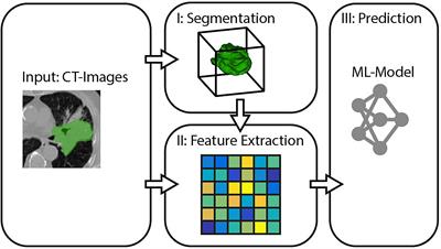 Spherical Convolutional Neural Networks for Survival Rate Prediction in Cancer Patients